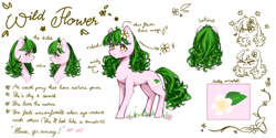 Size: 1280x640 | Tagged: safe, artist:hapinkie, derpibooru import, oc, earth pony, pony, reference sheet