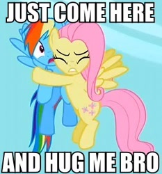 Size: 280x300 | Tagged: safe, derpibooru import, edit, edited screencap, screencap, fluttershy, rainbow dash, pony, secret of my excess, cropped, hug, meme