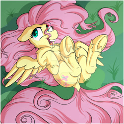 Size: 1920x1920 | Tagged: safe, artist:horsewithacoat, fluttershy, pegasus, pony, chest fluff, dock, female, frog (hoof), mare, obtrusive watermark, on back, open mouth, plot, solo, spread wings, underhoof, watermark