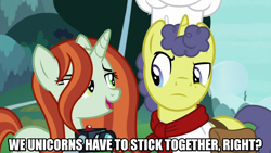 Size: 1280x720 | Tagged: safe, derpibooru import, edit, edited screencap, editor:jaredking203, screencap, crackle cosette, queen chrysalis, pony, unicorn, the ending of the end, bag, camera, caption, disguise, disguised changeling, female, image macro, male, mare, meme, saddle bag, stallion, stove comet, text