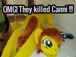 Size: 2592x1944 | Tagged: safe, derpibooru import, oc, oc:canni soda, fursuit, galacon, irl, mascot, oh my god they killed kenny, photo, pun, south park