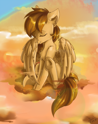 Size: 1780x2234 | Tagged: safe, artist:yuris, derpibooru import, oc, oc only, oc:sharpwing, pegasus, pony, brown mane, cleaning, cloud, male, raised hoof, raised leg, sky, solo, sunset