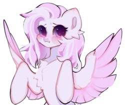 Size: 1176x987 | Tagged: safe, alternate version, artist:grach_449, derpibooru import, oc, oc only, oc:nochi, pegasus, pony, :i, blushing, chest fluff, looking at you, solo, sparkles, spread wings, wings