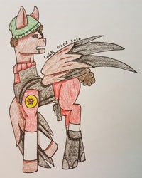 Size: 2215x2774 | Tagged: safe, artist:agdapl, derpibooru import, pegasus, pony, clothes, crossover, demoman, hat, looking back, male, ponified, signature, solo, stallion, team fortress 2, traditional art, wings