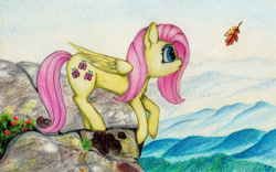 Size: 1280x800 | Tagged: safe, artist:myzanil, derpibooru import, fluttershy, pegasus, pony, cliff, colored pencil drawing, curious, cute, daaaaaaaaaaaw, flower, grass, leaf, leaning forward, looking forward, mist, mountain, outdoors, scenery, shyabetes, sky, solo, standing, traditional art