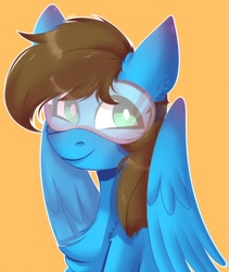 Size: 1500x1781 | Tagged: safe, artist:morttdecai3, derpibooru import, oc, oc only, oc:blue scroll, pegasus, pony, bust, looking at you, male, portrait, safety goggles, wings