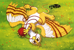 Size: 3000x2020 | Tagged: safe, artist:amishy, derpibooru import, oc, oc only, oc:beaky, griffon, fanfic:yellow feathers, behaving like a cat, catbird, cute, field, flower, grass, griffon oc, griffons doing cat things, high res, looking at you, male, ocbetes, simple background, solo, traditional art, wool, wool ball, yarn, yarn ball