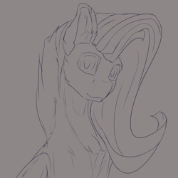 Size: 1600x1600 | Tagged: safe, artist:tenebrisnoctus, derpibooru import, fluttershy, pegasus, pony, bust, grayscale, monochrome, solo