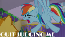 Size: 1280x720 | Tagged: safe, derpibooru import, edit, edited screencap, editor:quoterific, screencap, rainbow dash, cat, pegasus, pony, grannies gone wild, eyes closed, female, mare, open mouth, solo, wings