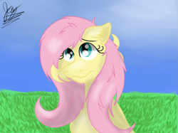 Size: 2743x2057 | Tagged: safe, artist:jay_wackal, derpibooru import, fluttershy, pegasus, pony, clip studio paint, cute, outdoors, painting, solo