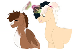 Size: 1280x854 | Tagged: safe, artist:itstechtock, derpibooru import, oc, oc only, oc:halfmoon cookie, oc:whippoorwill, pegasus, pony, unicorn, female, hair dye, magic, magical lesbian spawn, male, mare, offspring, parent:derpy hooves, parent:doctor whooves, parent:fresh coat, parent:sweet biscuit, parents:doctorderpy, simple background, stallion, white background