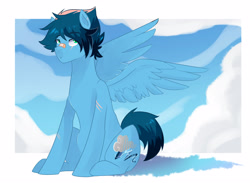 Size: 2860x2097 | Tagged: safe, artist:kraytt-05, derpibooru import, oc, oc only, oc:chasing cloud, pegasus, pony, bandaid, bandaid on nose, male, offspring, parent:rainbow dash, parent:soarin', parents:soarindash, scar, sitting, stallion