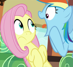 Size: 775x713 | Tagged: safe, derpibooru import, screencap, fluttershy, rainbow dash, pegasus, pony, buckball season, cropped, duo, female, frown, great moments in animation, hooves on cheeks, mare, open mouth, out of context, rainbow dash is best facemaker, wat