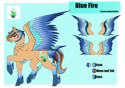 Size: 1920x1358 | Tagged: safe, artist:oneiria-fylakas, derpibooru import, oc, oc:blue fire, pegasus, pony, colored wings, male, multicolored wings, reference sheet, solo, stallion, tail feathers, wings