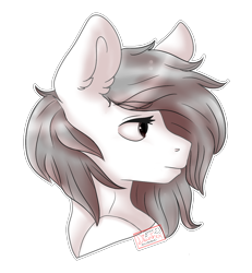 Size: 1200x1300 | Tagged: safe, artist:diantrex, derpibooru import, oc, oc only, oc:meel, earth pony, pony, bust, long mane, looking back, male, portrait, simple background, solo, transparent background