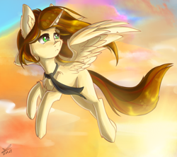 Size: 1780x1580 | Tagged: safe, artist:yuris, derpibooru import, oc, oc only, alicorn, pony, family, sky, solo, sun, sunset