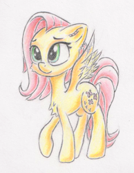 Size: 742x957 | Tagged: safe, artist:itchystomach, derpibooru import, fluttershy, pegasus, pony, chest fluff, female, mare, pencil drawing, raised hoof, raised leg, solo, spread wings, standing, three quarter view, traditional art, wings