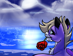 Size: 2048x1556 | Tagged: safe, artist:brainiac, derpibooru import, oc, oc:foxtrot, pegasus, unicorn, flower, flower in mouth, male, mouth hold, rose, rose in mouth, solo, stallion