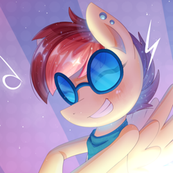 Size: 500x500 | Tagged: safe, artist:patchnpaw, derpibooru import, oc, oc:aurora harmony, everfree encore, mascot, sunglasses