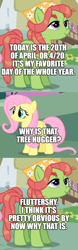 Size: 500x1612 | Tagged: safe, derpibooru import, edit, edited screencap, screencap, fluttershy, tree hugger, earth pony, pegasus, pony, 4/20, comic, drugs, female, mare, screencap comic, tree stoner