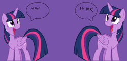 Size: 4344x2092 | Tagged: safe, artist:andoanimalia, artist:twilyisbestpone, derpibooru exclusive, derpibooru import, twilight sparkle, twilight sparkle (alicorn), alicorn, pony, cute, duality, female, happy, hi, mare, open mouth, purple background, random, self ponidox, silly, simple background, smiling, solo, speech bubble, twiabetes, vector, wat