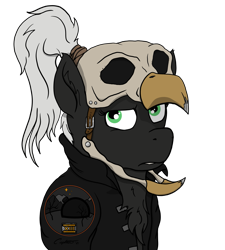 Size: 4321x4791 | Tagged: safe, artist:capt-sierrasparx, derpibooru import, oc, oc:blink(foe), pegasus, fallout equestria, bust, clothes, ex-raider, fallout, female, foe adventures, grumpy, helmet, jacket, mare, patch, ponytail, skull