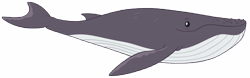 Size: 16148x5064 | Tagged: safe, artist:andoanimalia, derpibooru import, whale, growing up is hard to do, humpback whale, simple background, transparent background, vector