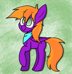 Size: 1805x1844 | Tagged: safe, artist:rainbowbacon, derpibooru import, oc, oc:burningstar, pegasus, pony, clothes, scarf, solo