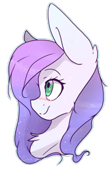 Size: 1568x2386 | Tagged: safe, artist:cookietasticx3, derpibooru import, oc, oc only, earth pony, pony, bust, chest fluff, earth pony oc, simple background, smiling, solo, transparent background