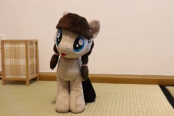 Size: 2048x1365 | Tagged: safe, derpibooru import, oc, oc:connie bloom, irl, photo, plushie