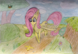 Size: 3900x2712 | Tagged: safe, artist:hofdawn, derpibooru import, fluttershy, pegasus, colored pencil drawing, nest, solo, spread wings, traditional art, tree, wings