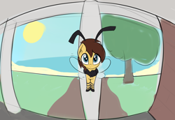 Size: 4000x2754 | Tagged: safe, artist:czu, derpibooru import, oc, oc only, bee, bee pony, insect, original species, pony, 30 minute art challenge, fisheye lens, high res, ponified, ponified animal photo