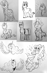 Size: 1234x1920 | Tagged: safe, artist:verikoira, derpibooru import, big macintosh, maud pie, pinkie pie, princess celestia, princess luna, rarity, spike, sunburst, alicorn, dragon, earth pony, pony, unicorn, female, male, mare, monochrome, stallion