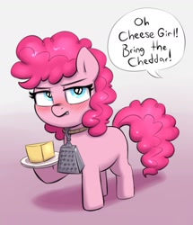 Size: 1230x1432 | Tagged: safe, alternate version, artist:heretichesh, derpibooru import, pinkie pie, earth pony, pony, blushing, cheese, cheese grater, collar, dialogue, food, offscreen character, pinkie pie is not amused, plate, unamused