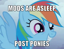 Size: 676x514 | Tagged: safe, rainbow dash, pegasus, pony, cropped, grin, meme, mods are asleep, mods are asleep post ponies, solo