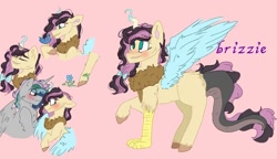 Size: 938x540 | Tagged: safe, artist:cocolove2176, derpibooru import, oc, oc only, draconequus, hybrid, pegasus, pony, bust, draconequus oc, female, interspecies offspring, male, oc x oc, offspring, parent:discord, parent:fluttershy, parents:discoshy, pegasus oc, pink background, reference sheet, shipping, simple background