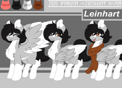 Size: 4000x2900 | Tagged: safe, artist:leinhart, derpibooru import, oc, oc:leinhart, pegasus, pony, clothes, open mouth, reference sheet, runes, scarf, smiling, wings