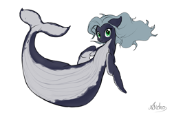 Size: 1500x1000 | Tagged: safe, artist:andromailus, oc, oc only, oc:belle luga, original species, pony, whale, whale pony, female, looking at you, signature, solo