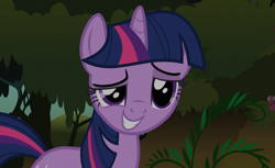 Size: 986x605 | Tagged: safe, screencap, twilight sparkle, pony, unicorn, feeling pinkie keen, everfree forest, forest, grin, looking at you, raised eyebrow, smiling, smug, solo
