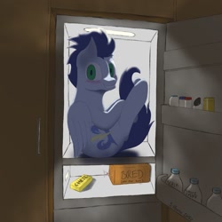 Size: 1500x1500 | Tagged: safe, artist:shoophoerse, derpibooru import, soarin', pegasus, pony, blushing, bread, cheese, folded wings, food, looking at you, milk, pony in fridge, refrigerator, solo, wings