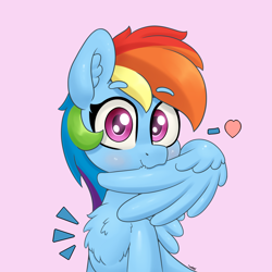 Size: 4000x4000 | Tagged: safe, artist:yelowcrom, derpibooru import, rainbow dash, pegasus, pony, chest fluff, cute, dashabetes, ear fluff, ears, female, grooming, looking at you, mare, preening, simple background, solo, wings