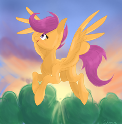 Size: 3318x3378 | Tagged: safe, artist:shamone, derpibooru import, apple bloom, scootaloo, sweetie belle, pegasus, pony, commission, cutie mark crusaders, flying, full body, looking up, my little pony, older, older scootaloo, solo, sunrise, sunset