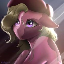 Size: 1080x1080 | Tagged: safe, artist:radiogaga.art, derpibooru import, oc, oc only, earth pony, pony, bust, earth pony oc, eyelashes, female, hat, mare, solo