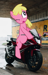 Size: 634x1000 | Tagged: safe, artist:quanno3, artist:topsangtheman, derpibooru import, edit, cherry berry, earth pony, pony, background pony, derp, dexterous hooves, female, irl, mare, motorcycle, one eye closed, open mouth, photo, riding, tunnel, vector