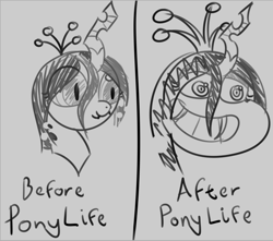 Size: 956x846 | Tagged: safe, artist:evan555alpha, queen chrysalis, changeling, changeling queen, my little pony: pony life, 2 panel comic, before and after, bust, comic, crown, fangs, female, g4 to g4.5, gray background, head, jewelry, regalia, shitposting, simple background, sketch, smiling, solo, text, wide eyes