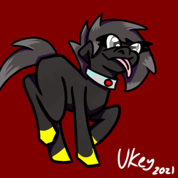 Size: 600x600 | Tagged: safe, artist:ukedideka, derpibooru import, oc, oc only, earth pony, pony, cel shading, collar, full body, gift art, gray eyes, grey hair, hooves, looking sideways, shading, simple background, solo, standing, tongue, tongue out, yellow hooves