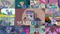 Size: 1971x1109 | Tagged: safe, derpibooru import, edit, edited screencap, editor:quoterific, screencap, gummy, marble pie, maud pie, mudbriar, orion, pinkie pie, serena, shooting star (character), spike, dragon, earth pony, pony, a trivial pursuit, best gift ever, hearthbreakers, make new friends but keep discord, maud pie (episode), rock solid friendship, sparkle's seven, student counsel, the cutie re-mark, the gift of the maud pie, the maud couple, uncommon bond, yakity-sax, alternate timeline, crystal war timeline, female, male, mare, stallion