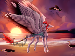 Size: 4000x2964 | Tagged: safe, artist:amcirken, derpibooru import, oc, oc:koral, bird, pony, seagull, seraph, beach, multiple wings, solo, sunset