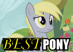 Size: 398x281 | Tagged: safe, derpibooru import, edit, edited edit, edited screencap, screencap, derpy hooves, slice of life (episode), best pony, caption, cropped, ftfy, image macro, solo, text, truth