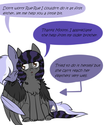 Size: 722x860 | Tagged: safe, artist:chezamoon18, derpibooru import, oc, oc only, oc:half moon, oc:rune riddle, pegasus, april fools, april fools 2021, brother and sister, chest fluff, colt, dialogue, feather, female, filly, fluffy, grooming, half-siblings, male, nom, pegasus oc, preening, sibling bonding, siblings, simple background, sitting, two toned mane, two toned wings, unshorn fetlocks, white background, wings